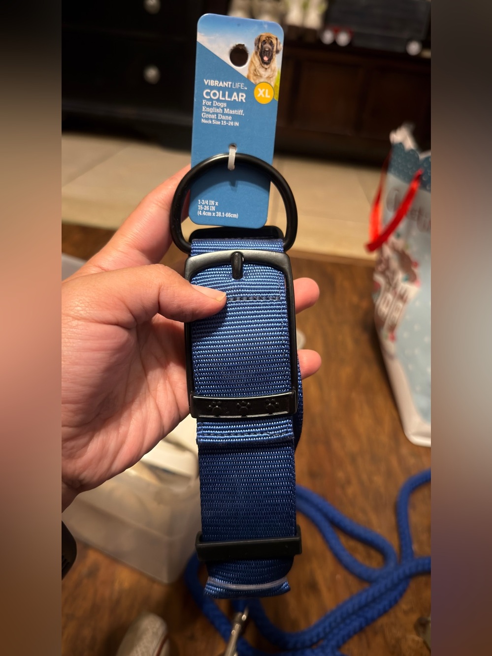 Vibrant Blue Heavy-Duty Nylon Belt-Style Dog Collar XL